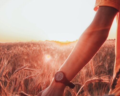 artem-i5wM30eBvz4-unsplash artem-i5wM30eBvz4-unsplash
